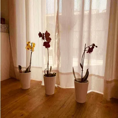Casa Moniga-residenze Lizzeri *
