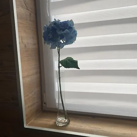 アパート Residenze Lizzeri-casa Moniga *